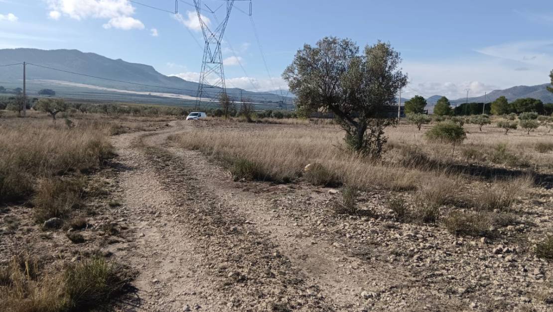 Sale - Land - Salinas - Salinas Centro