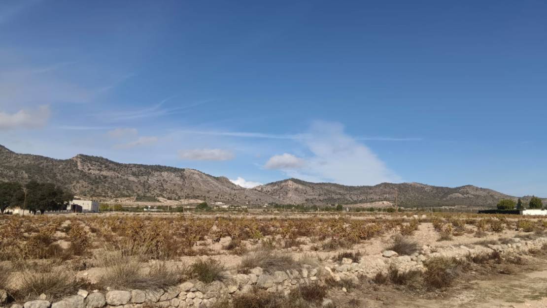 Sale - Land - Salinas - Salinas Centro