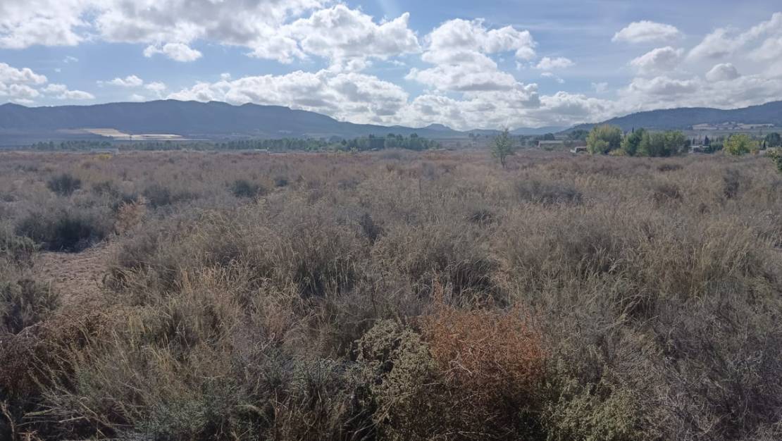 Sale - Land - Salinas - Salinas Centro