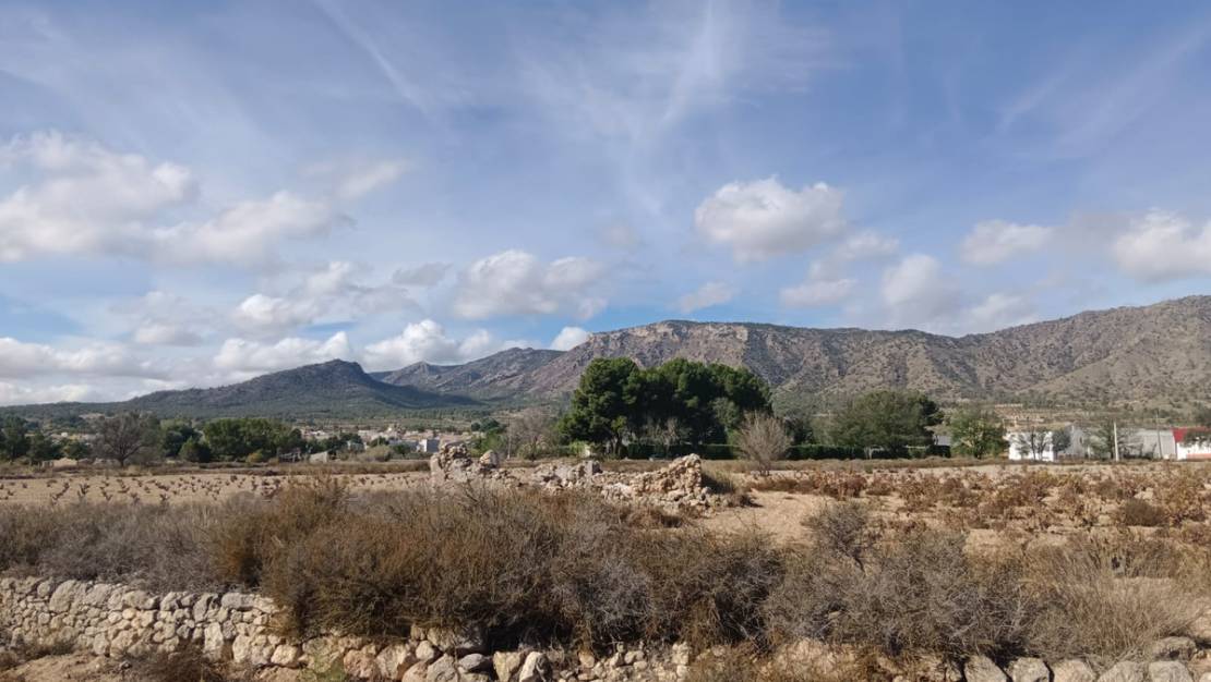 Sale - Land - Salinas - Salinas Centro