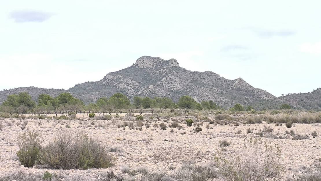 Sale - Land - Salinas - Salinas Centro