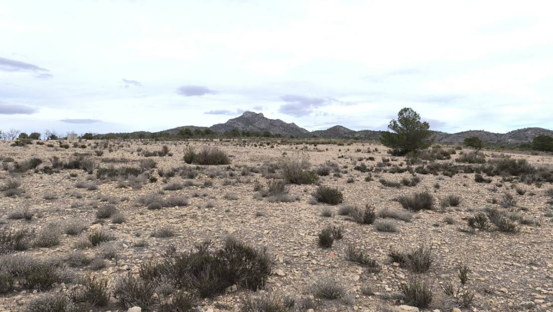 Sale - Land - Salinas - Salinas Centro