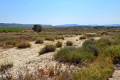 Sale - Land - San Miguel de Salinas - San Miguel de Salinas Centro