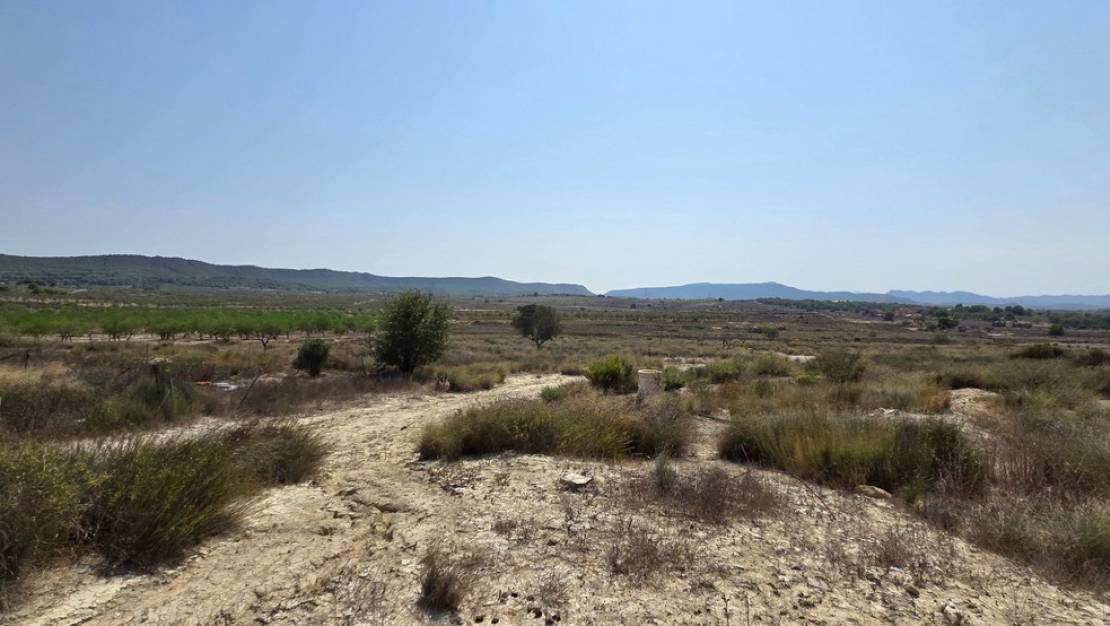 Sale - Land - San Miguel de Salinas - San Miguel de Salinas Centro