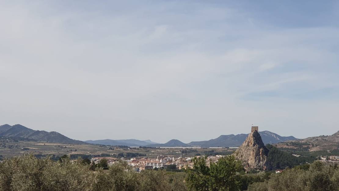 Sale - Land - Sax - Sax Centro