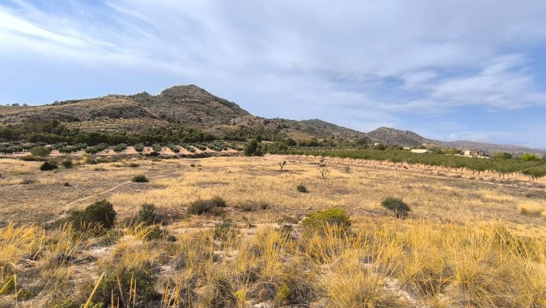 Sale - Land - Sax - Sax Centro