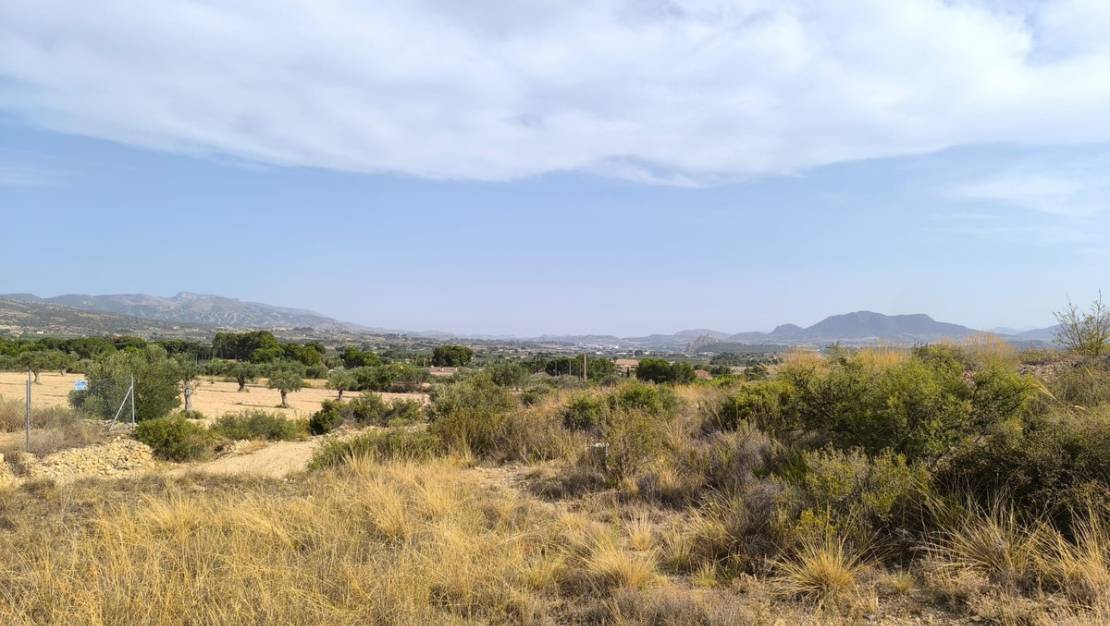 Sale - Land - Sax - Sax Centro