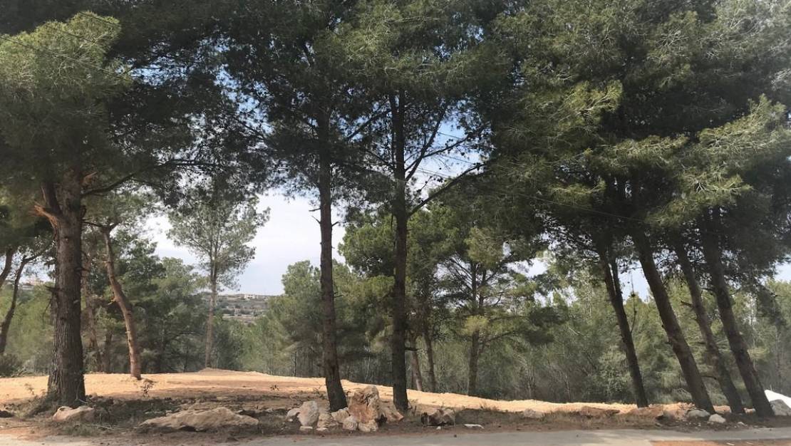 Sale - Land - Teulada - Moraira