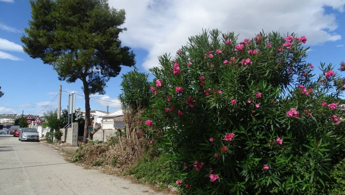 Sale - Land - Teulada - Teulada Centro