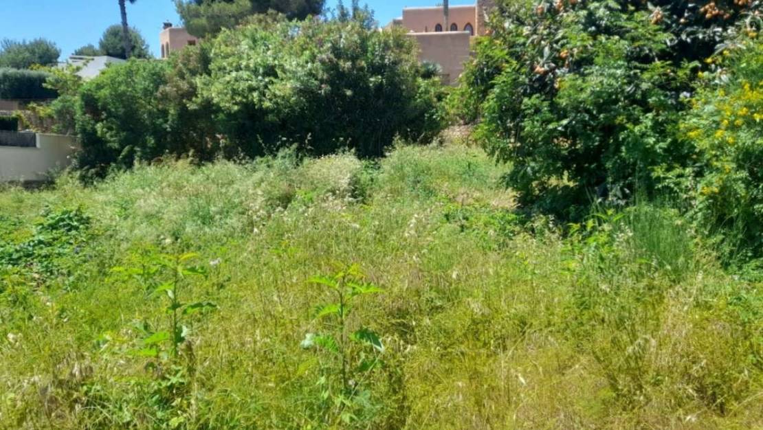 Sale - Land - Teulada - Teulada Centro