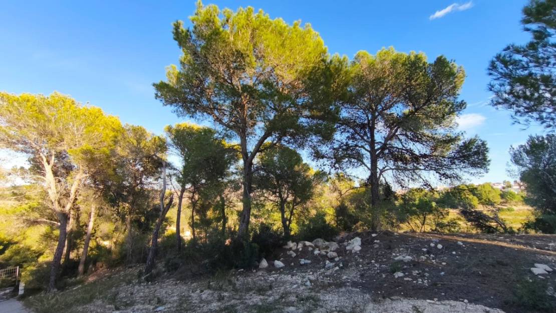 Sale - Land - Teulada - Teulada Centro