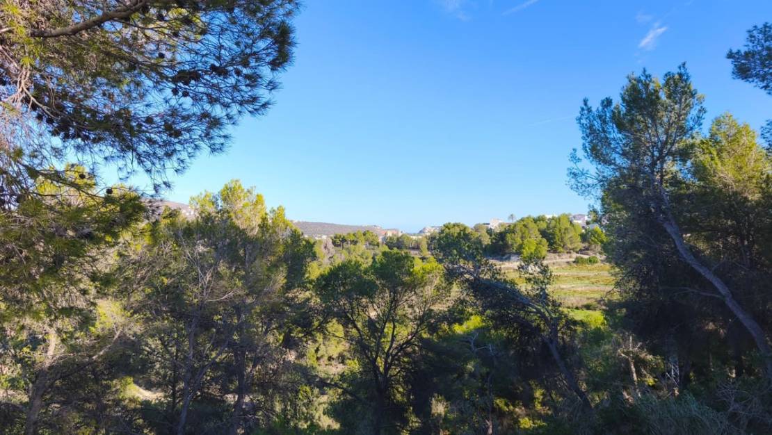 Sale - Land - Teulada - Teulada Centro