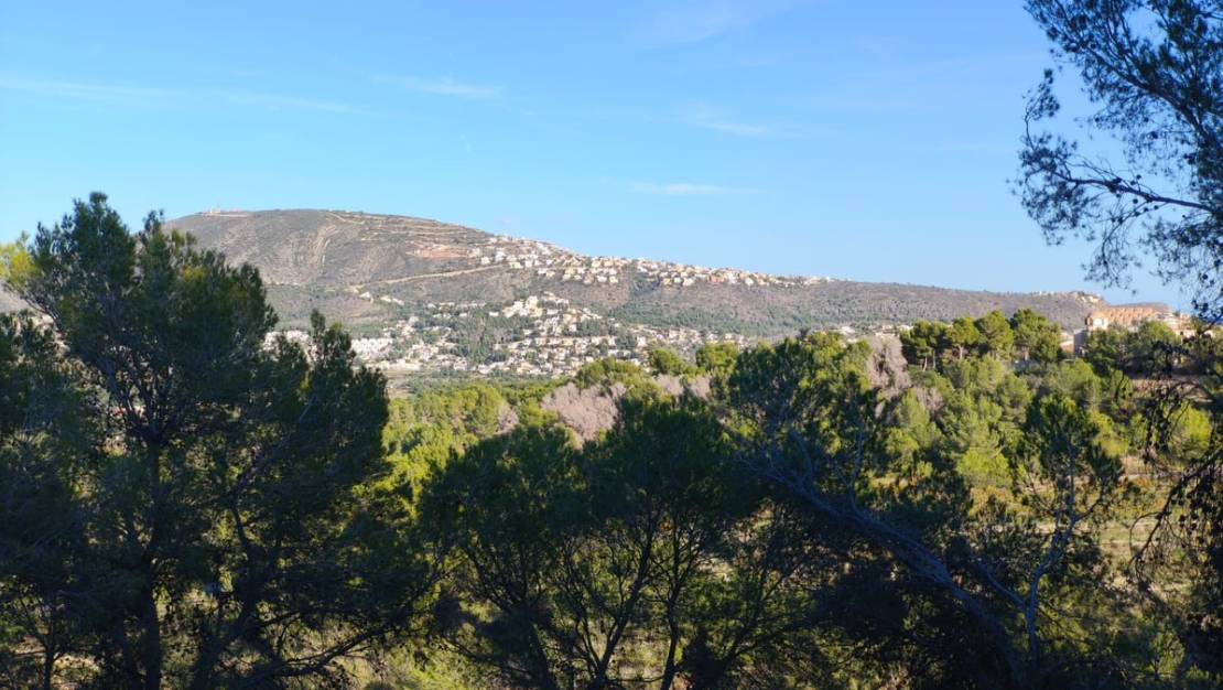 Sale - Land - Teulada - Teulada Centro