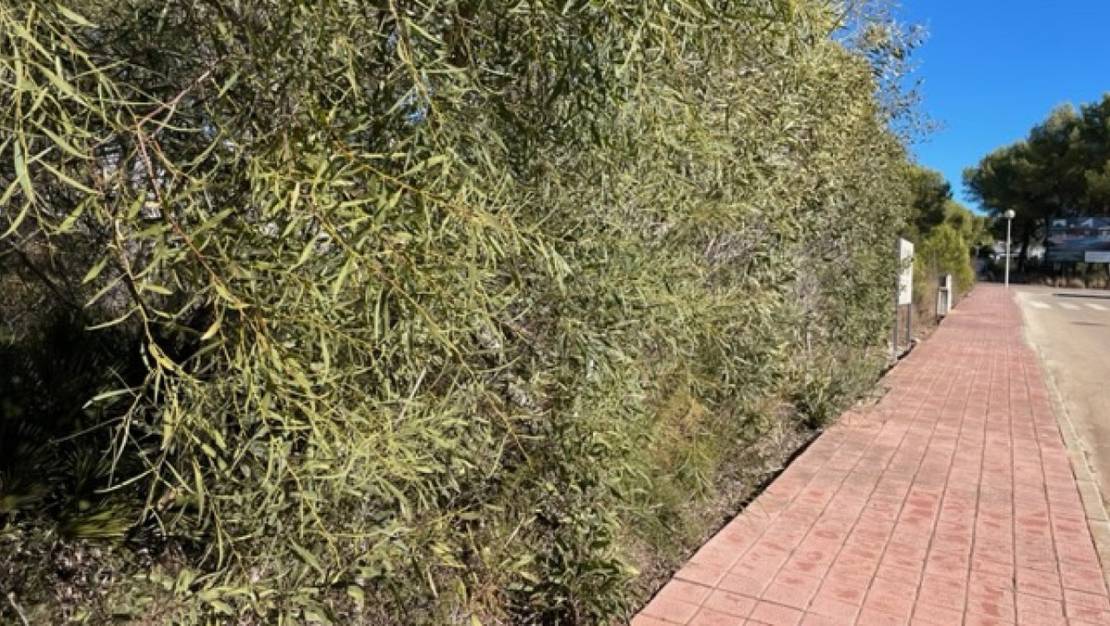 Sale - Land - Villajoyosa - La Cala