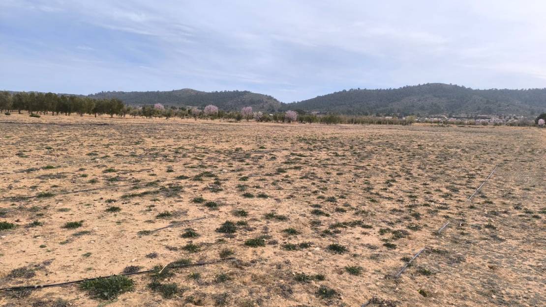 Sale - Land - Villena - Villena Centro