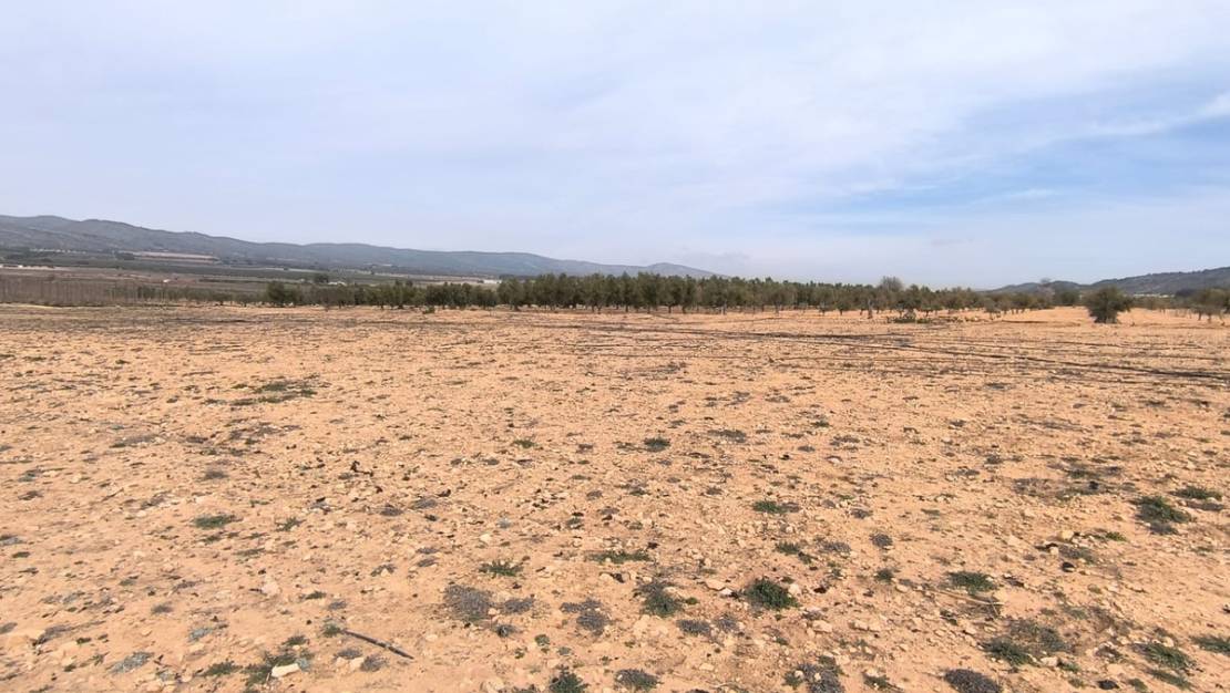 Sale - Land - Villena - Villena Centro