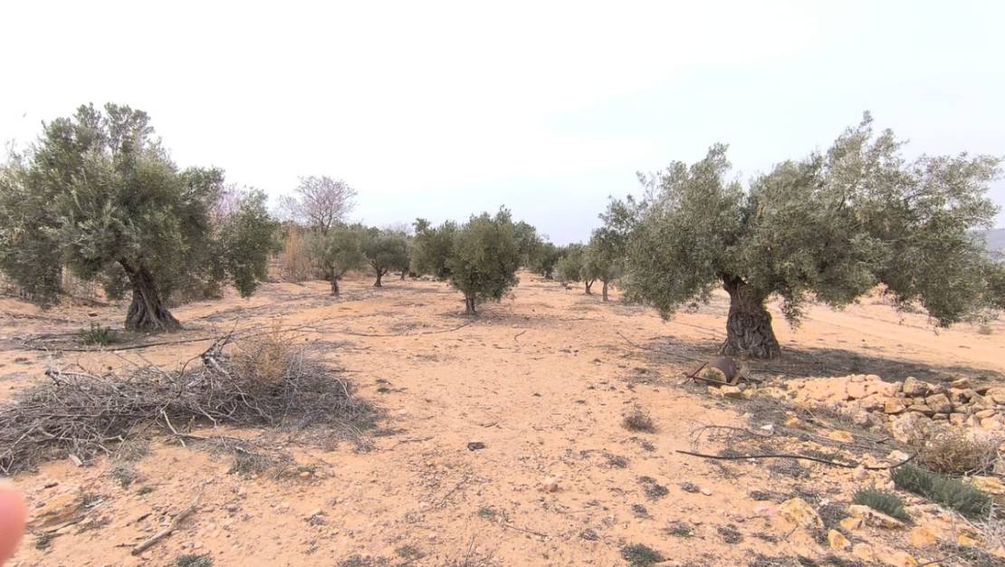 Sale - Land - Villena - Villena Centro