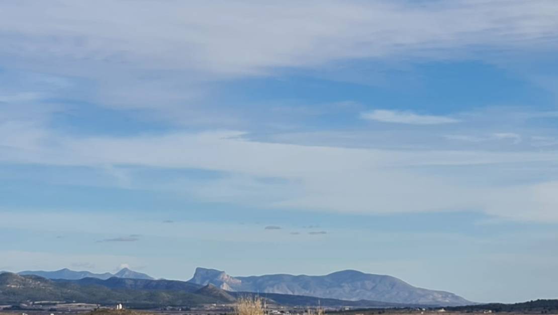 Sale - Land - Yecla - Raspay