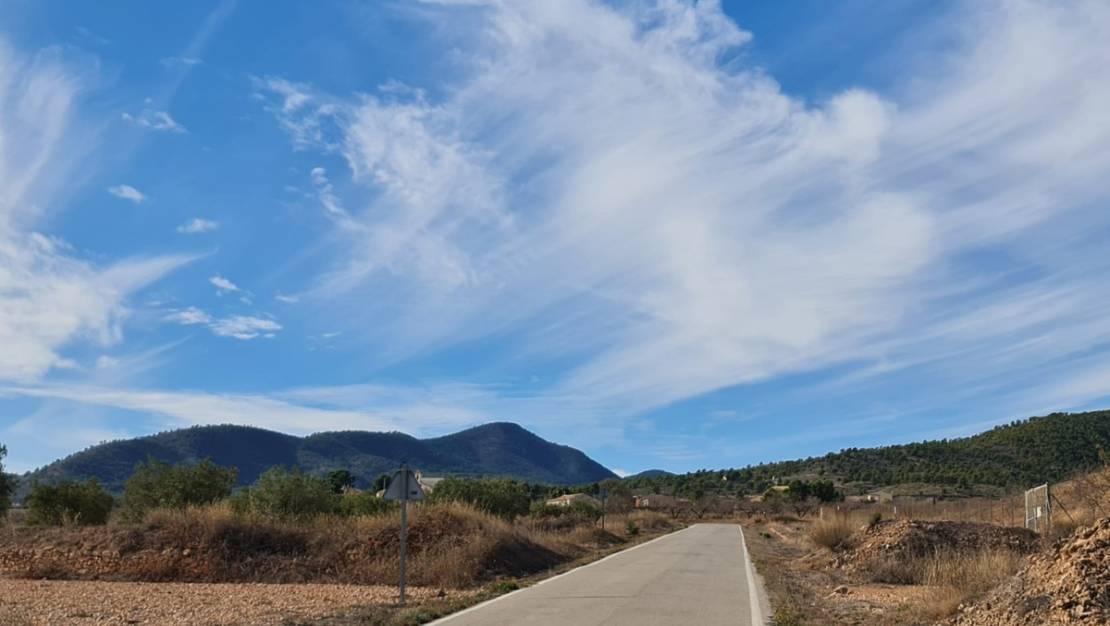 Sale - Land - Yecla - Raspay