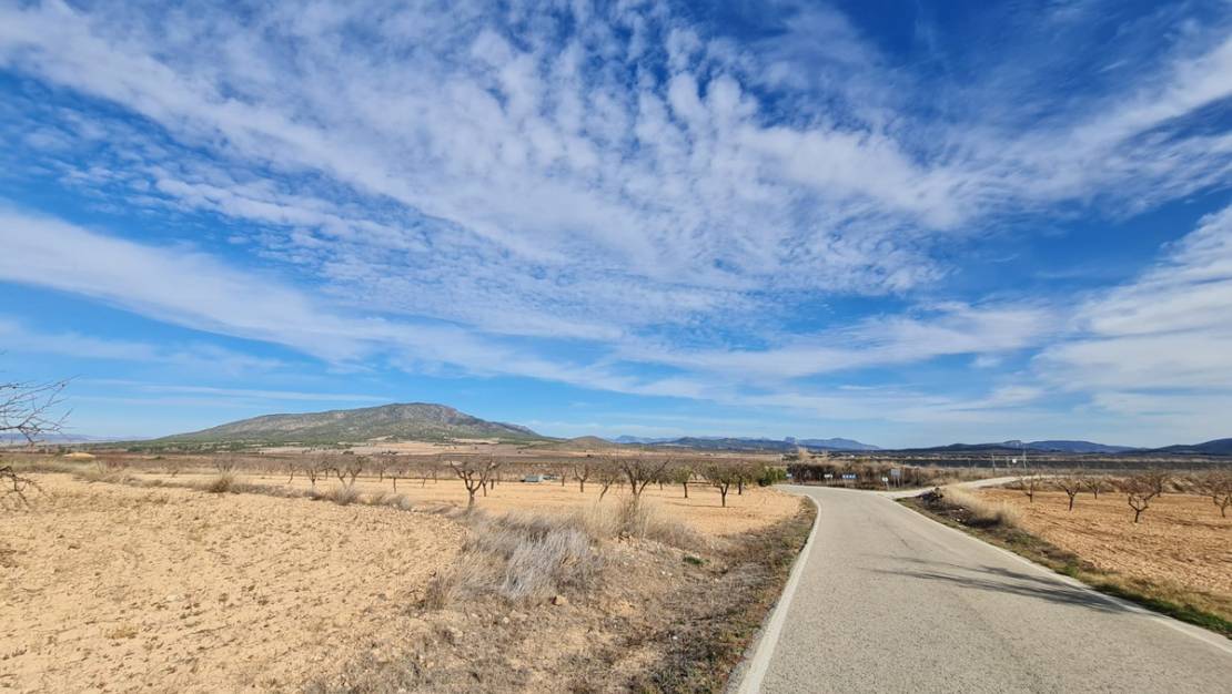 Sale - Land - Yecla - Raspay