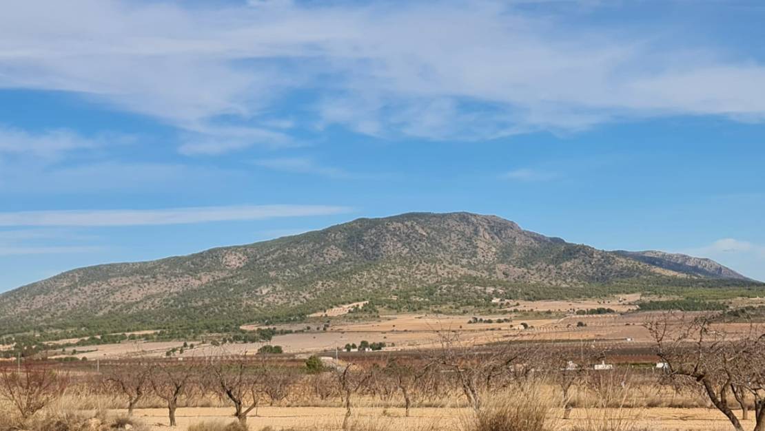 Sale - Land - Yecla - Raspay