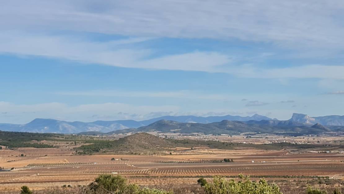 Sale - Land - Yecla - Raspay