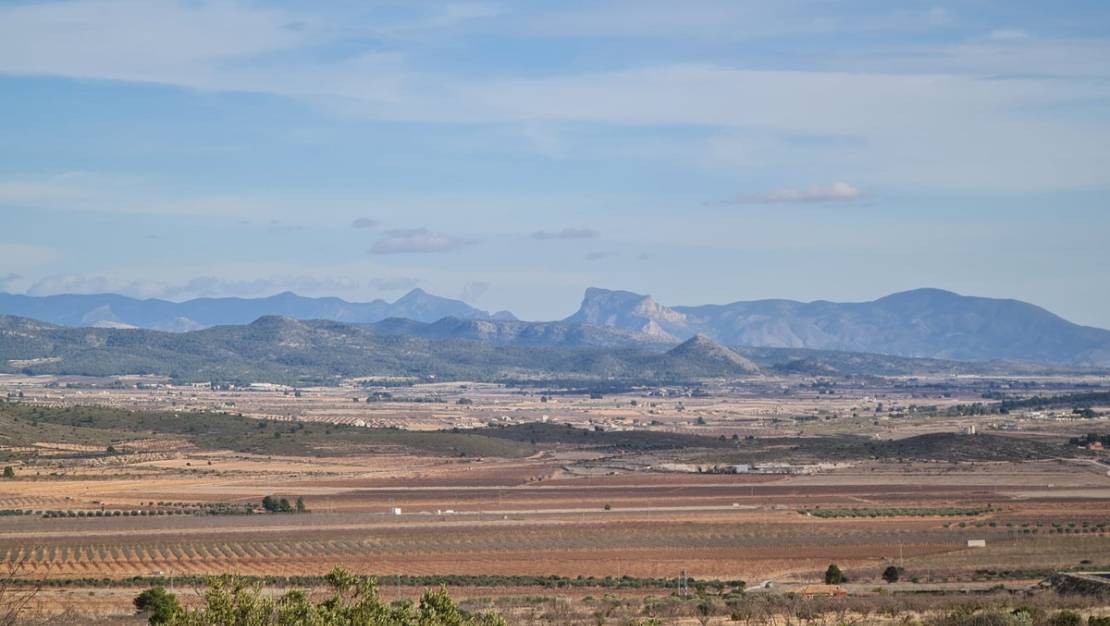 Sale - Land - Yecla - Raspay