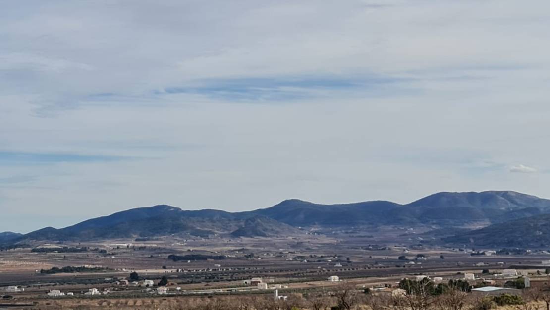 Sale - Land - Yecla - Raspay