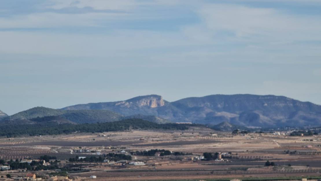 Sale - Land - Yecla - Raspay