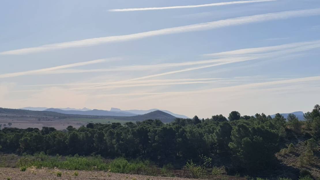 Sale - Land - Yecla - Raspay