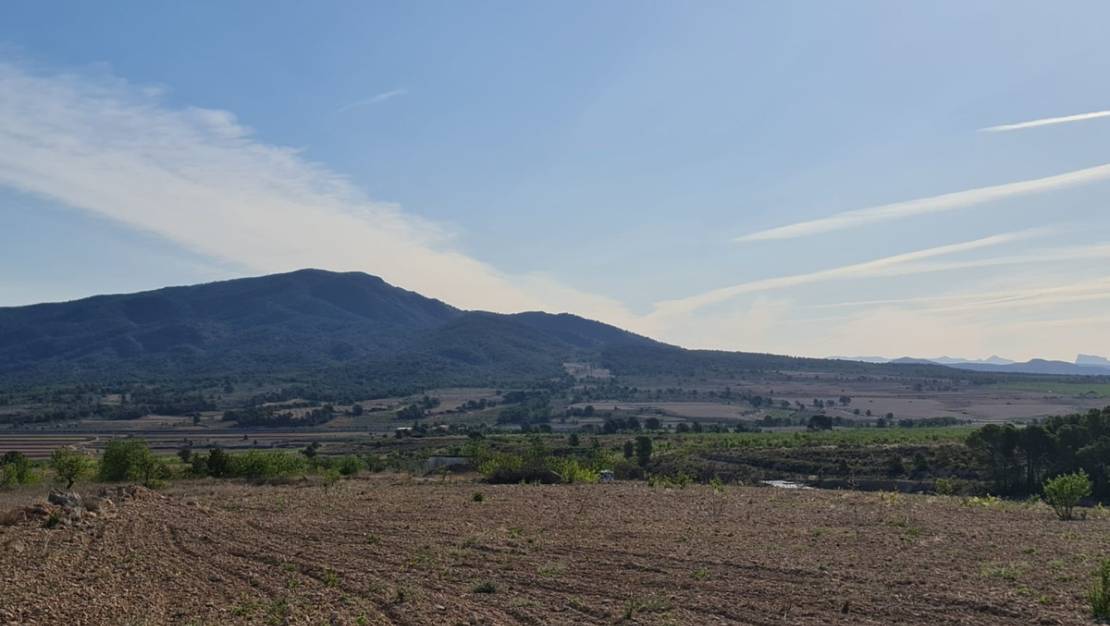 Sale - Land - Yecla - Raspay