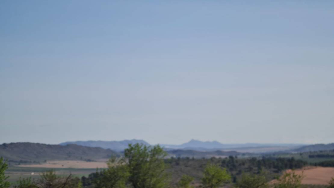 Sale - Land - Yecla - Raspay