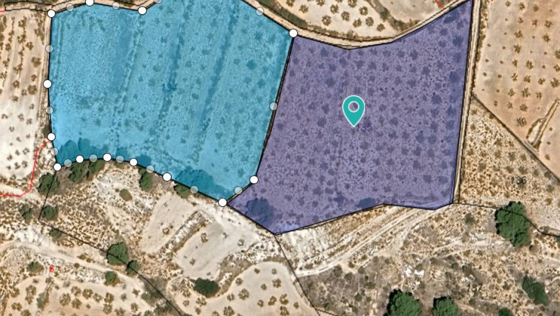 Sale - Land - Yecla - Raspay