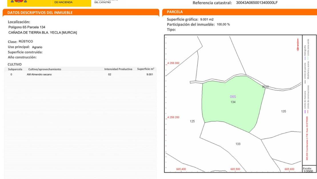 Sale - Land - Yecla - Raspay