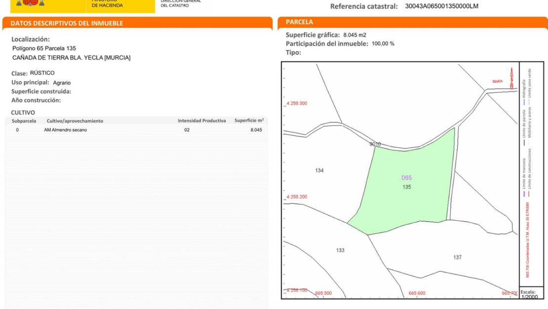 Sale - Land - Yecla - Raspay