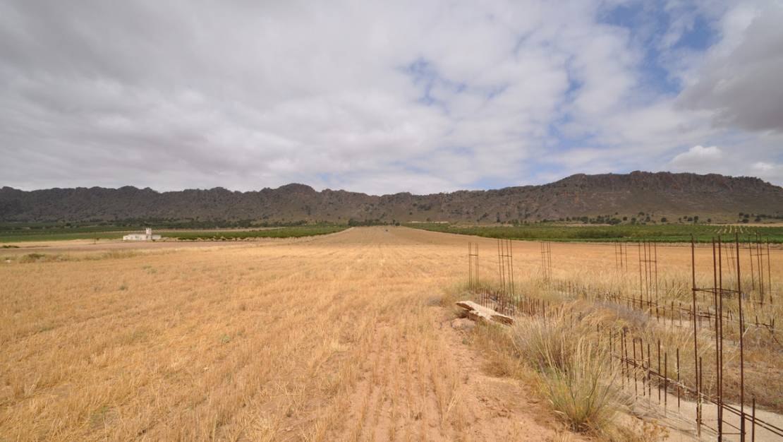 Sale - Land - Yecla - Yecla Centro