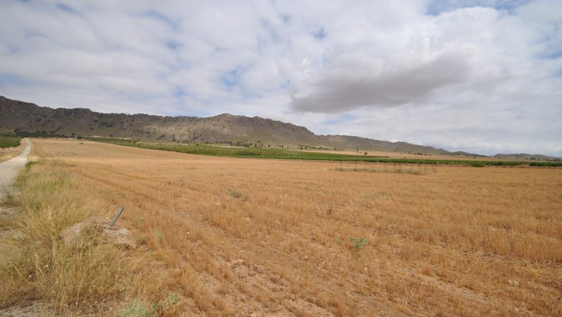 Sale - Land - Yecla - Yecla Centro