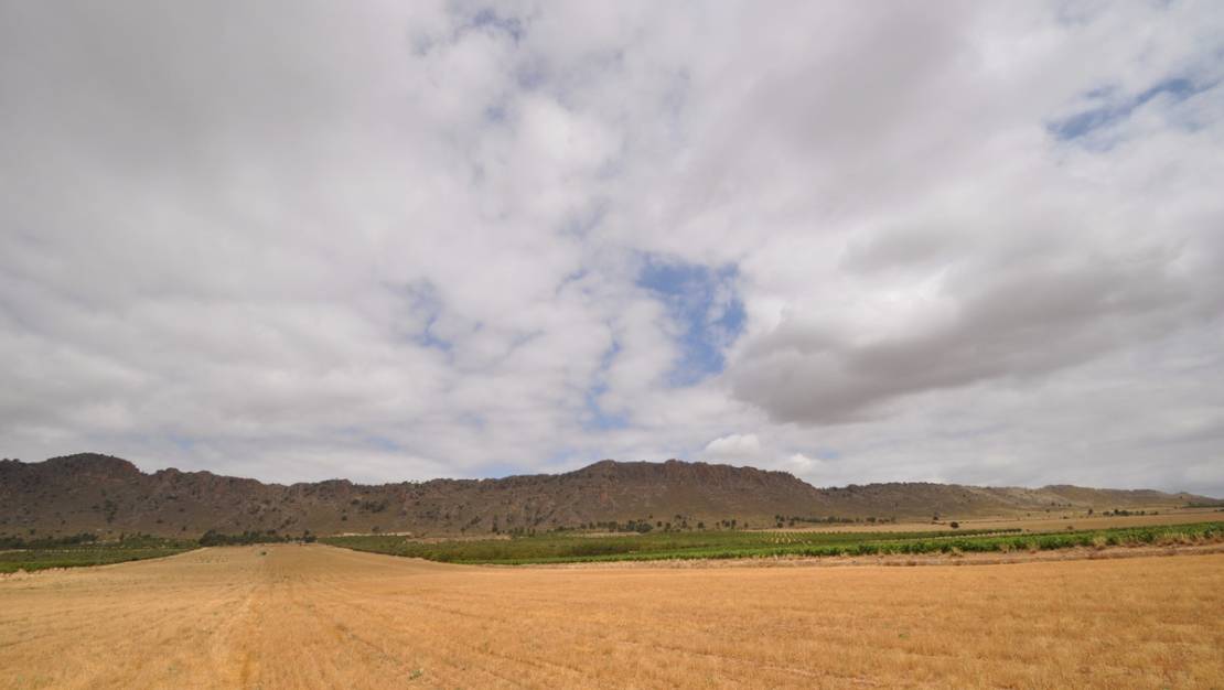 Sale - Land - Yecla - Yecla Centro