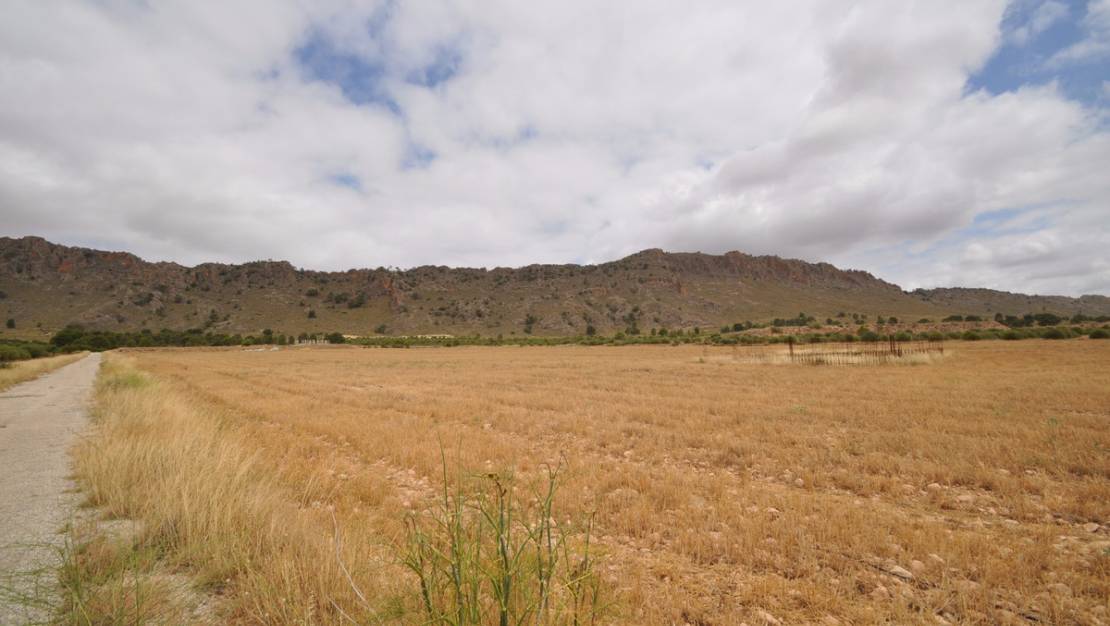 Sale - Land - Yecla - Yecla Centro