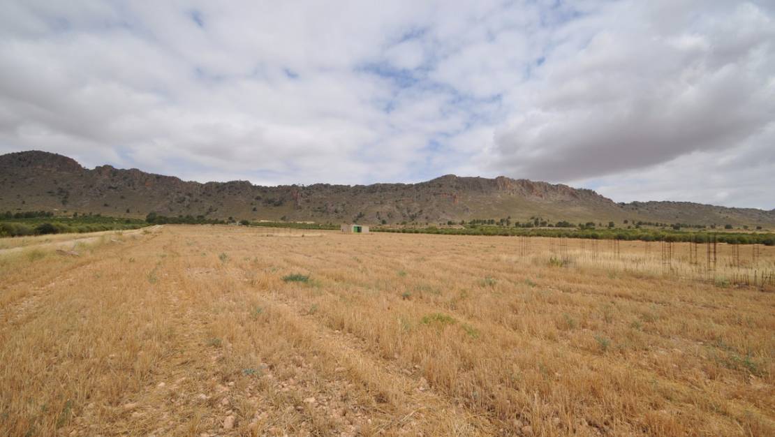 Sale - Land - Yecla - Yecla Centro