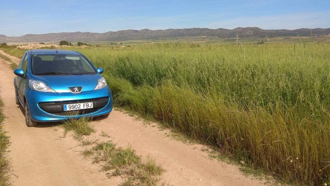 Sale - Land - Yecla - Yecla Centro