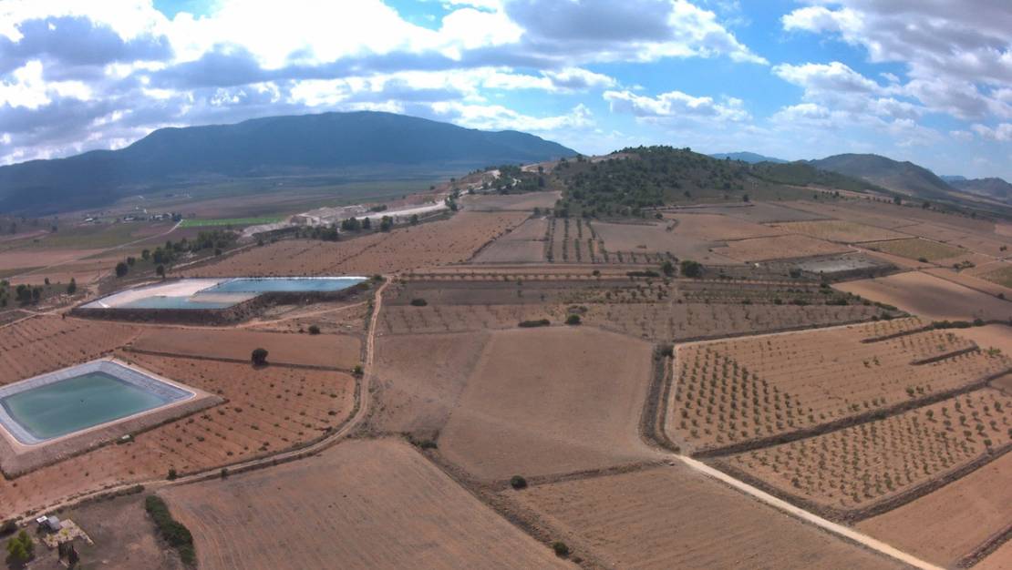 Sale - Land - Yecla - Yecla Centro