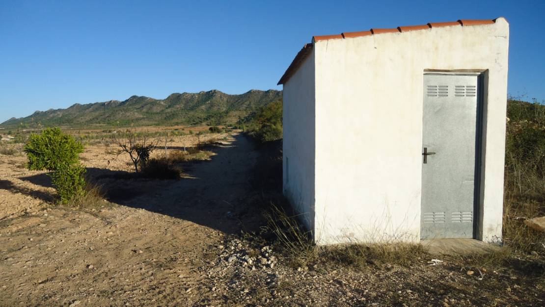 Sale - Land - Yecla - Yecla Centro