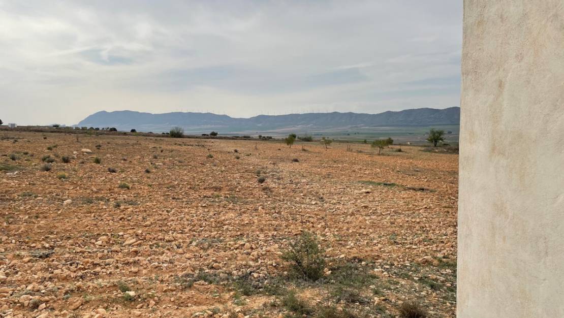 Sale - Land - Yecla - Yecla Centro