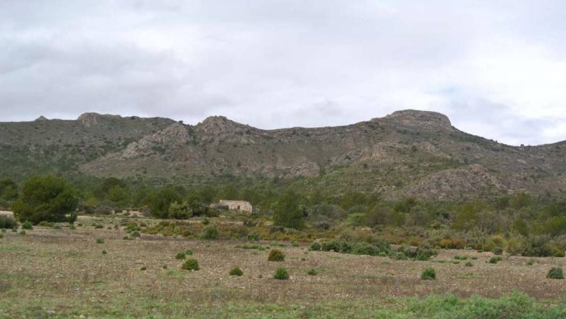 Sale - Land - Yecla - Yecla Centro