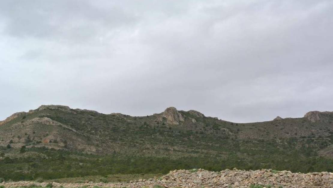 Sale - Land - Yecla - Yecla Centro