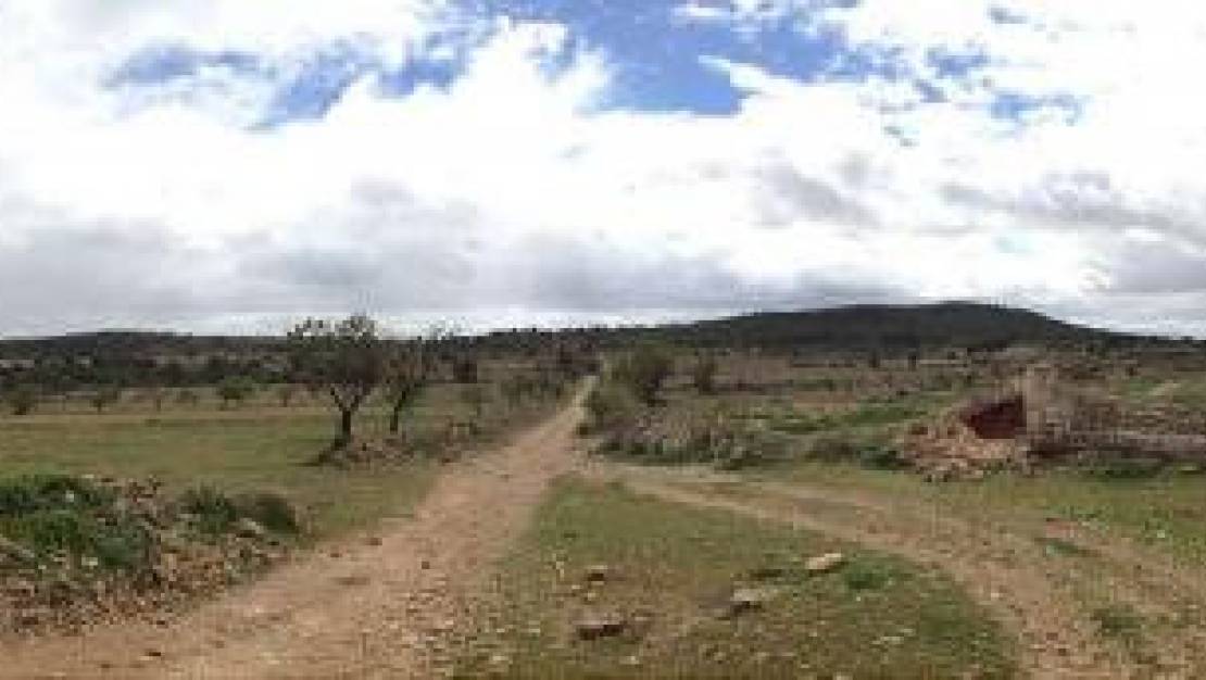 Sale - Land - Yecla - Yecla Centro