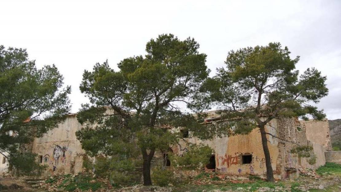 Sale - Land - Yecla - Yecla Centro