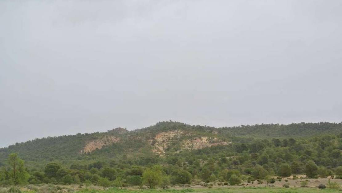 Sale - Land - Yecla - Yecla Centro