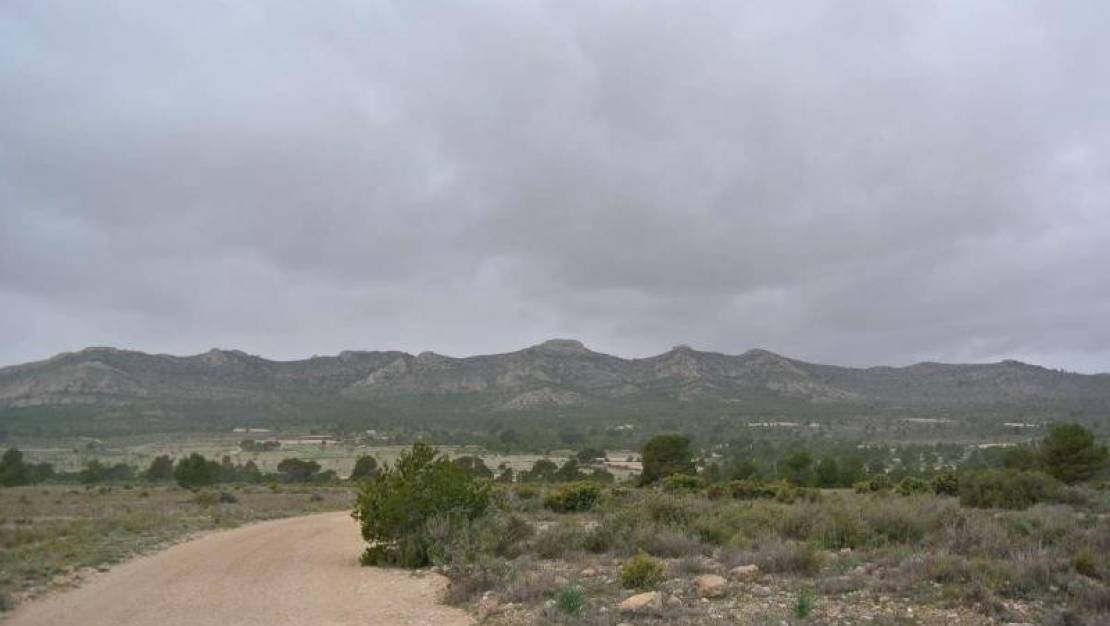 Sale - Land - Yecla - Yecla Centro